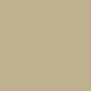 Roman Plaster™ 31