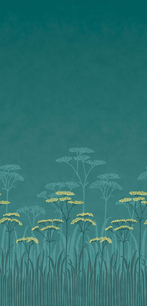 Achillea - Aurora