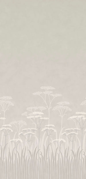 Achillea - Brume