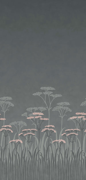 Achillea - Twilight