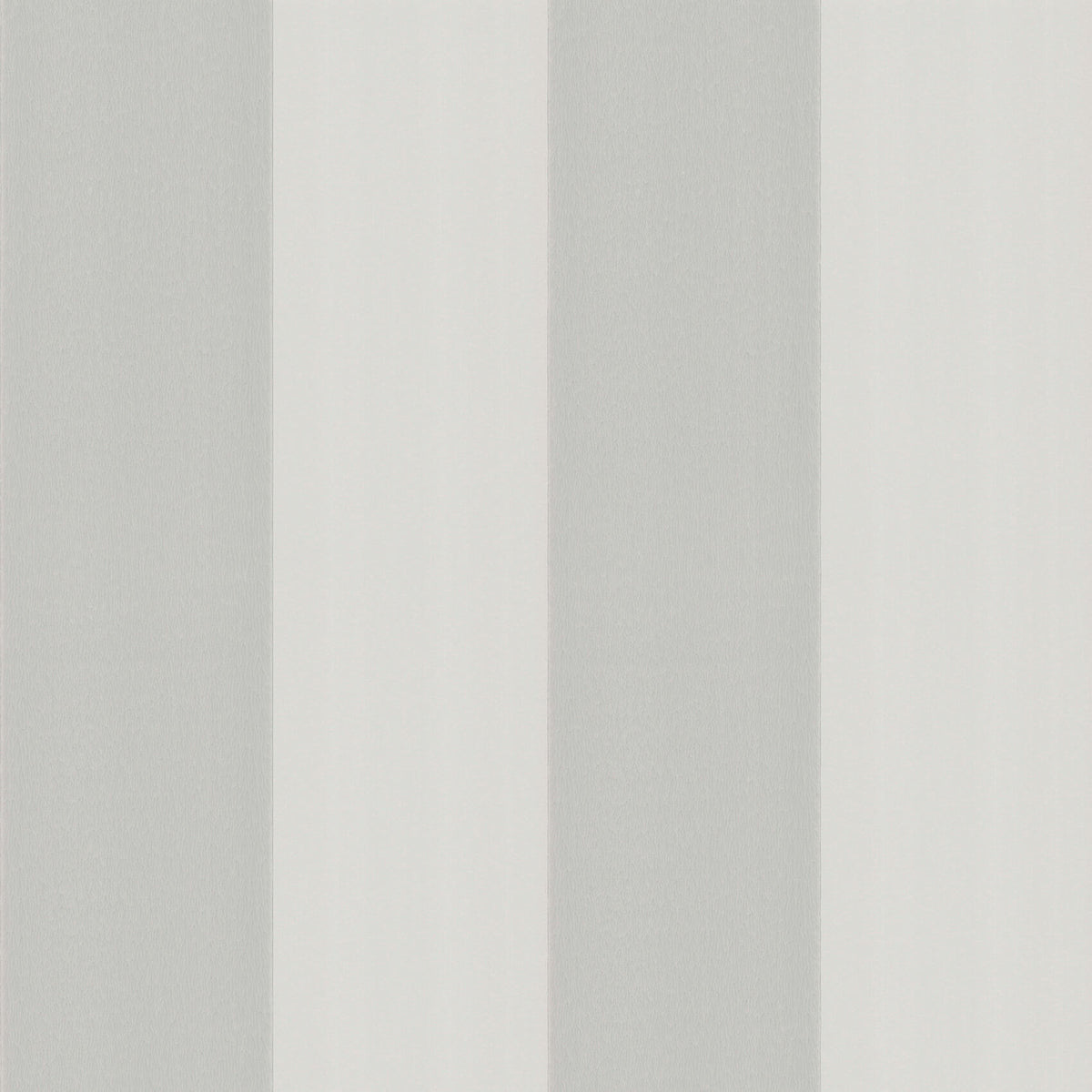 Broad Stripe - Forum