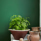 Dark Brunswick Green™ 88
