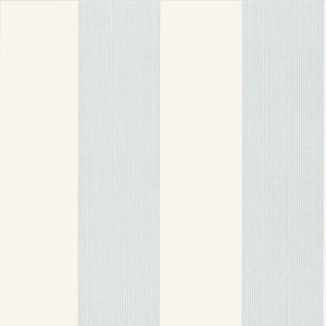 Elephant Stripe - Bright White