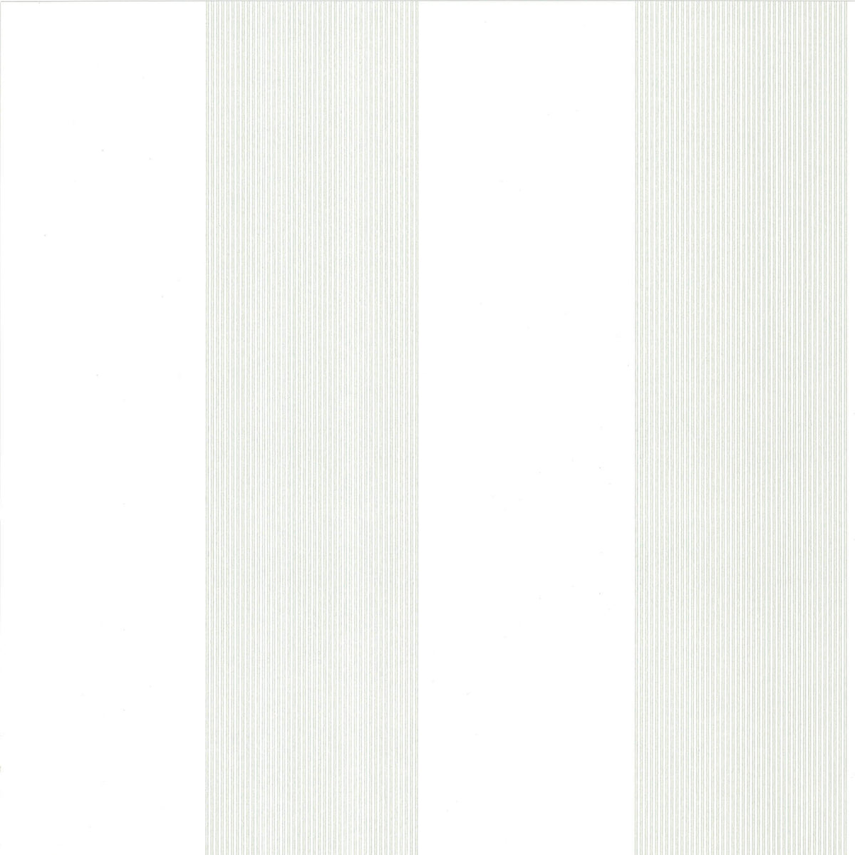 Elephant Stripe - Slip