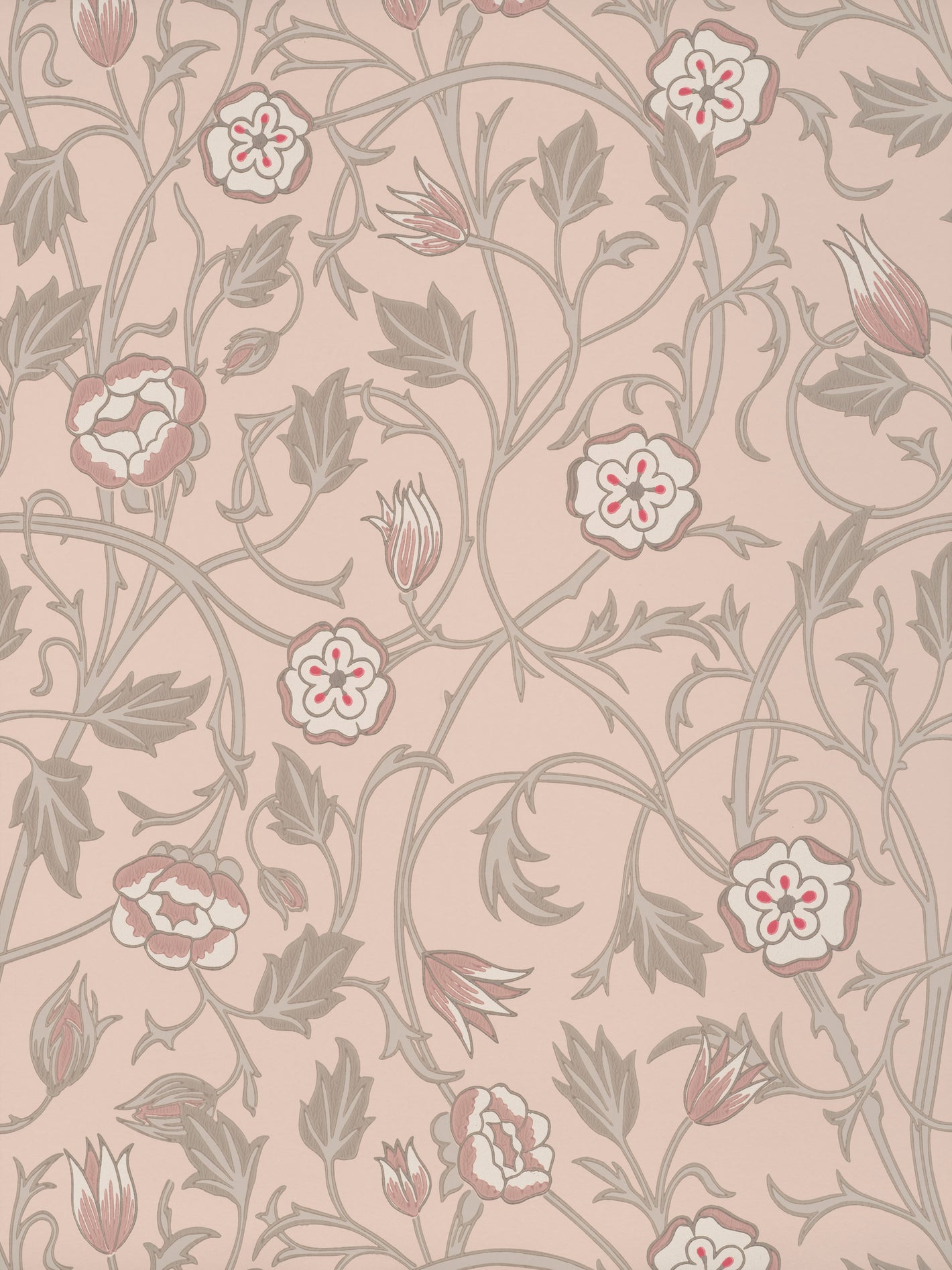 May's Tulip - Castell Pink