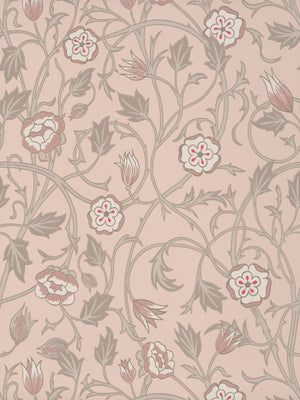 May's Tulip - Castell Pink