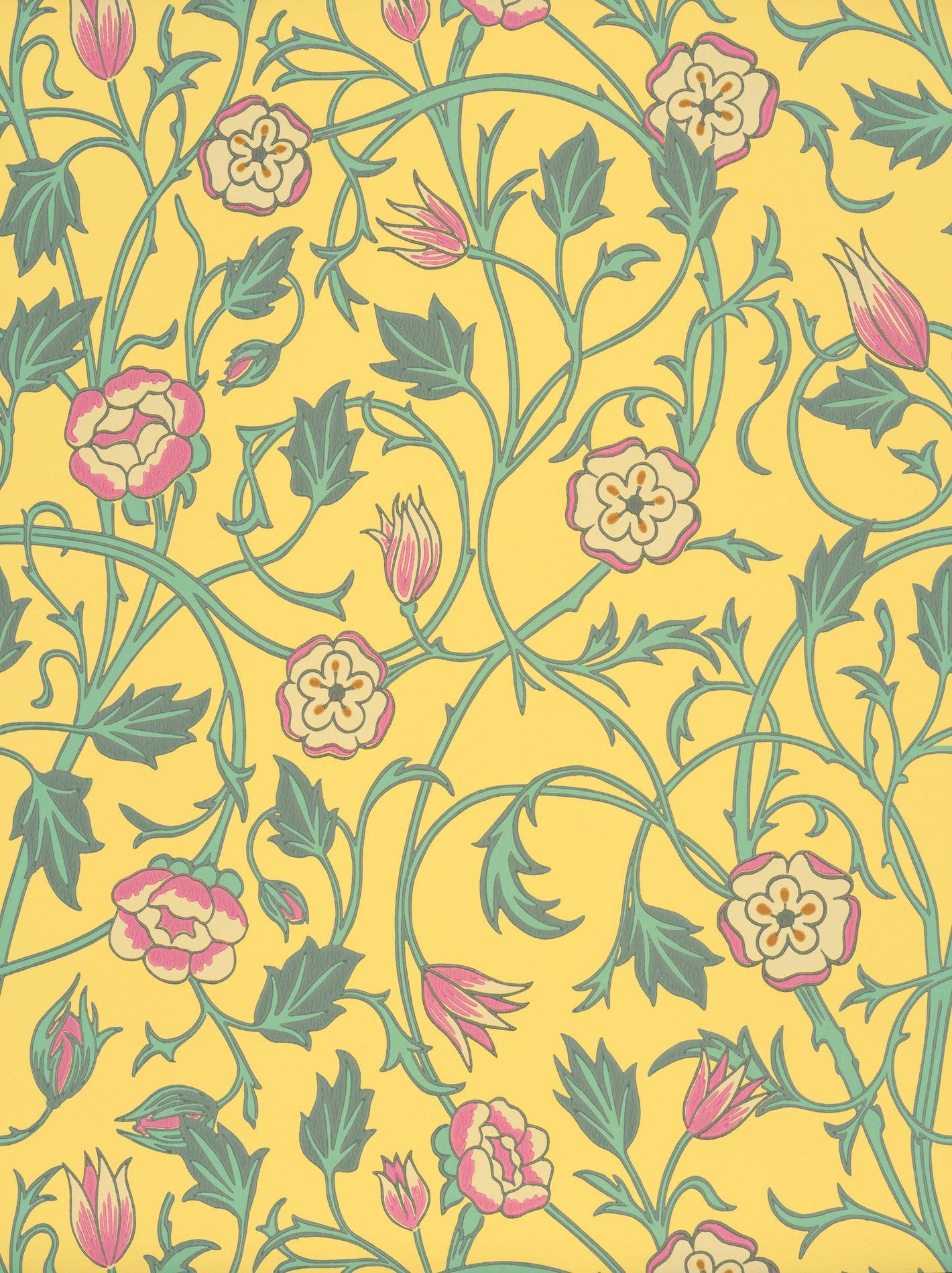May's Tulip - Indian Yellow