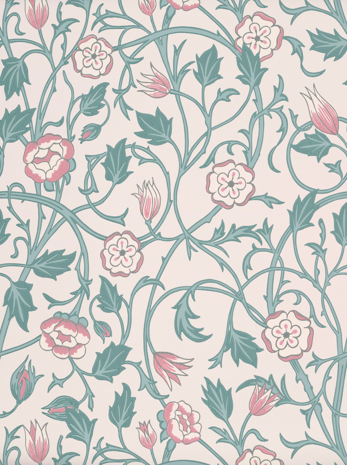 May's Tulip - Joanna