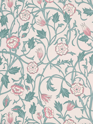 May's Tulip - Joanna