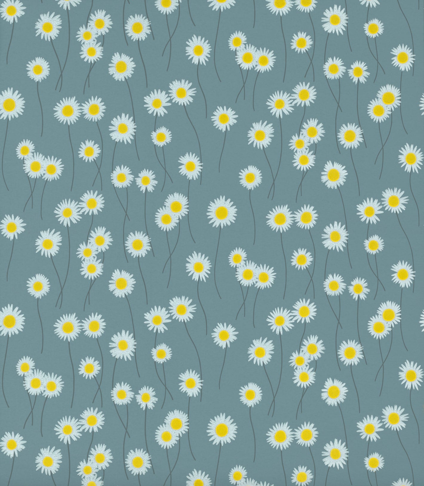 Moon Daisies - Etruria