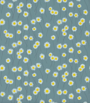 Moon Daisies - Etruria