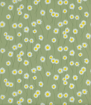 Moon Daisies - Garden