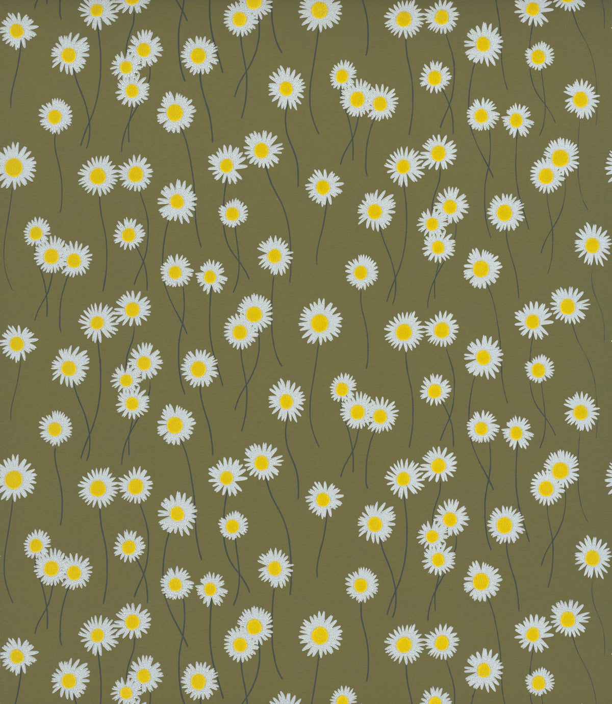 Moon Daisies - Olive Colour