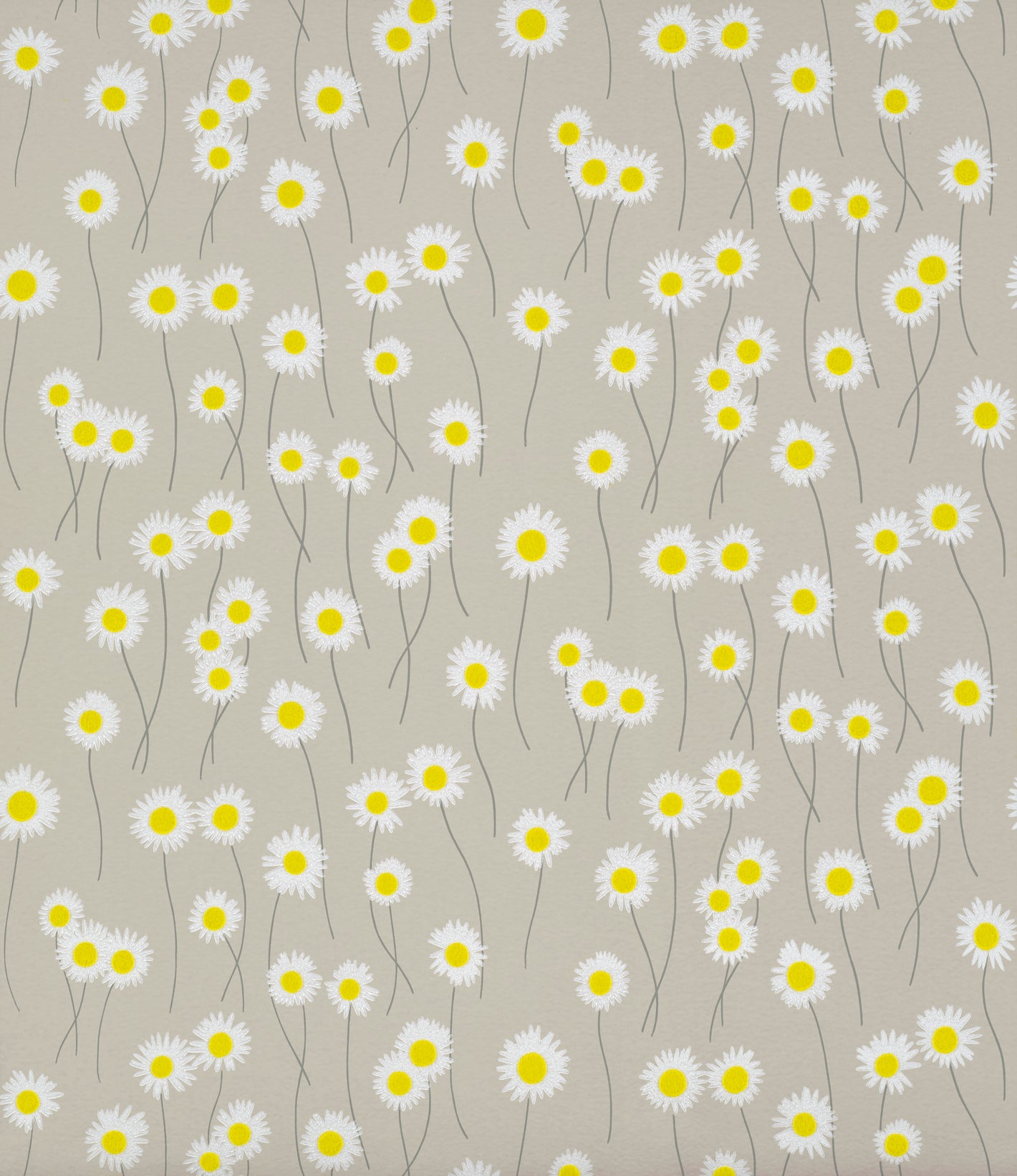 Moon Daisies - Slaked Lime
