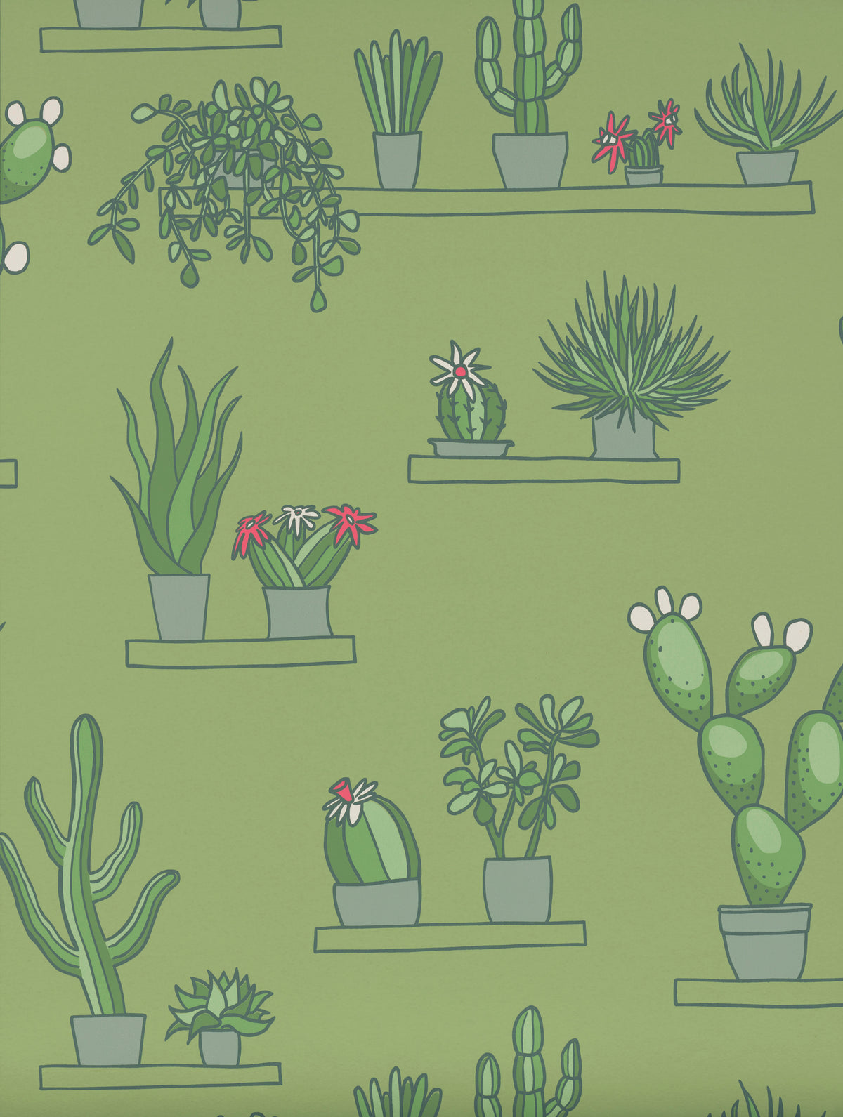 Mr Straw's Greenhouse - Garden