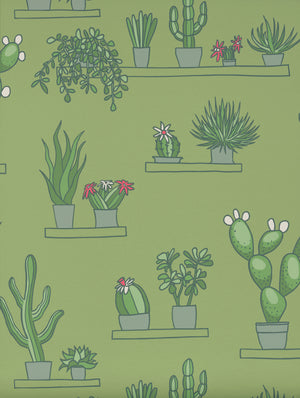 Mr Straw's Greenhouse - Garden