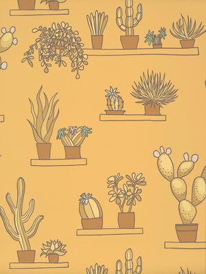 Mr Straw's Greenhouse - Light Gold