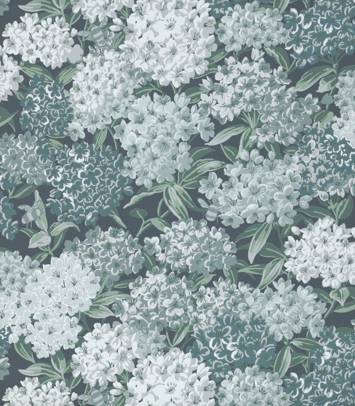 Rhododendron Walk - Hicks' Blue