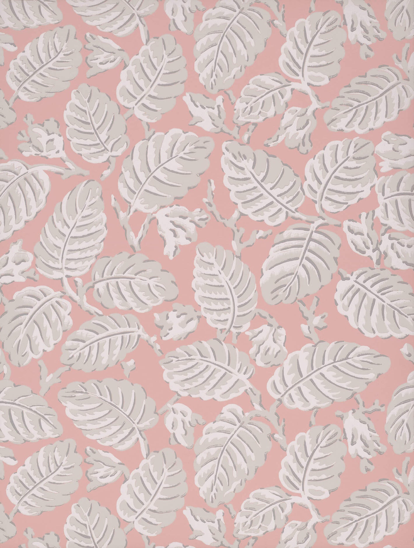 Beech Nut - Delicate