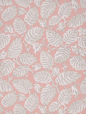 Beech Nut - Delicate
