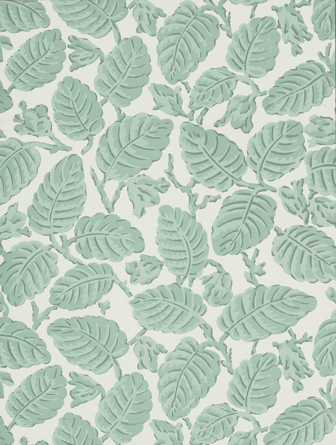 Beech Nut - Rubine