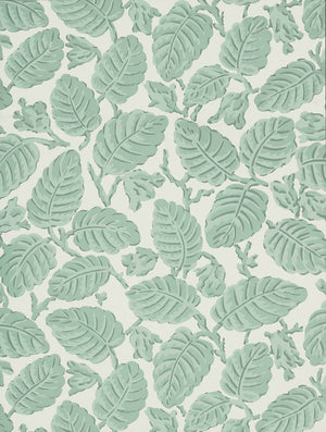 Beech Nut - Rubine