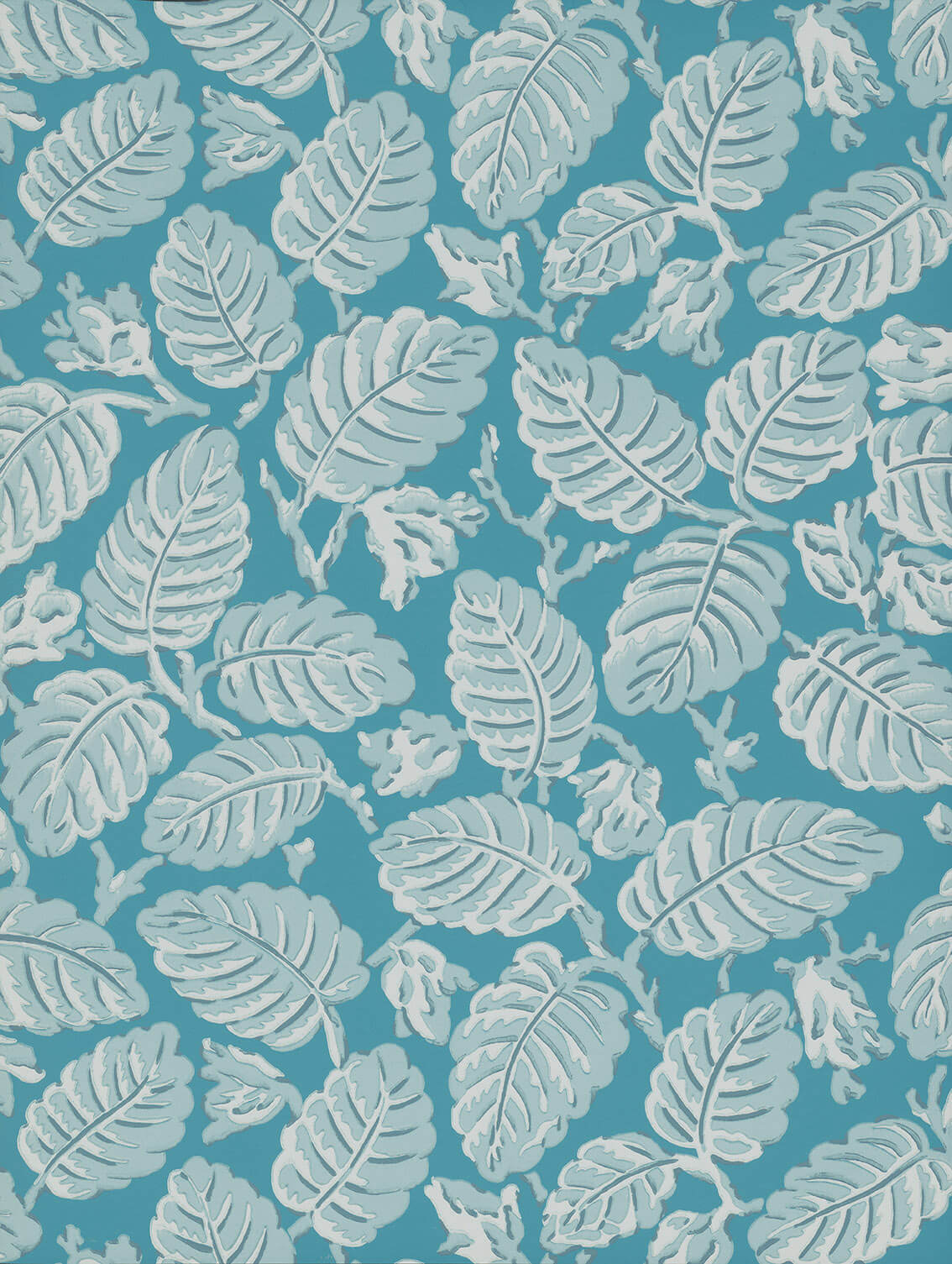 Beech Nut - Summer
