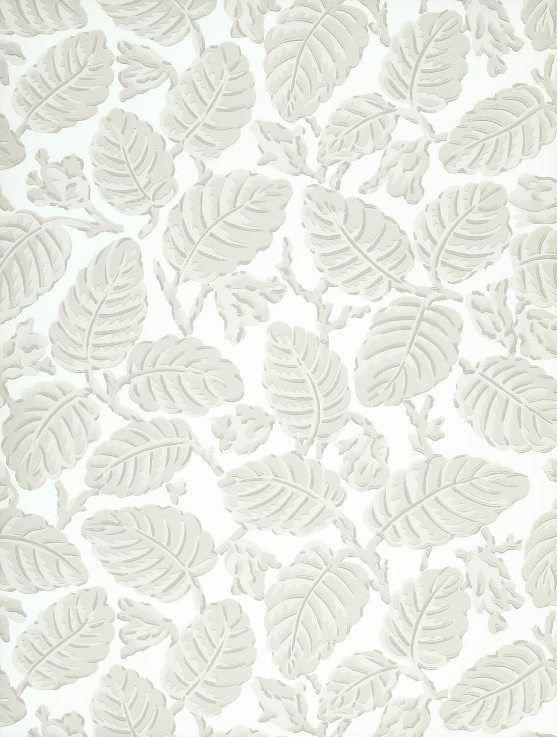 Beech Nut - Warm Grey