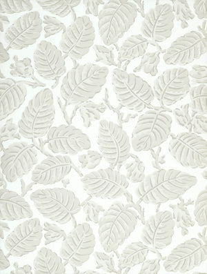 Beech Nut - Warm Grey