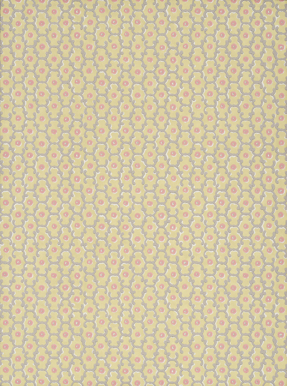 Moy - Lime