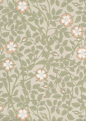 Briar Rose - Green Mist