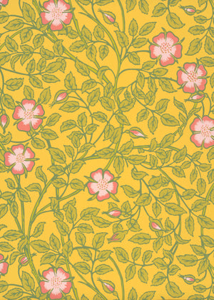 Briar Rose - Indian Yellow