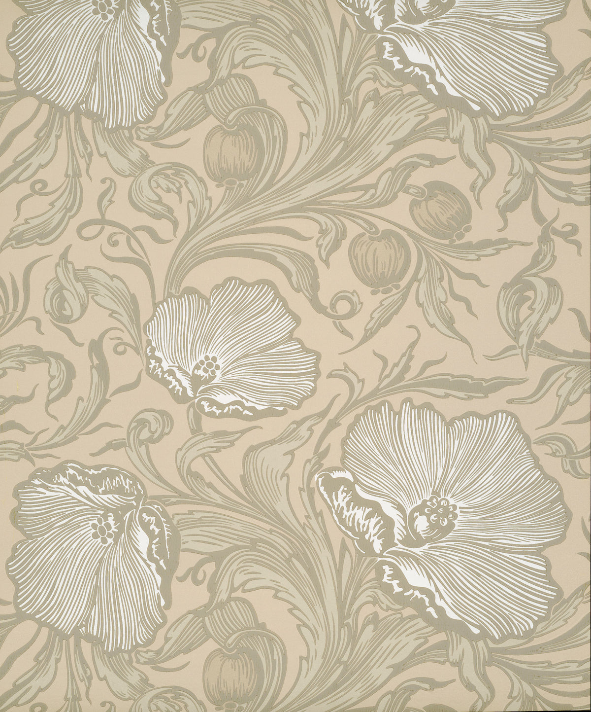 Poppy Trail - Portland Stone