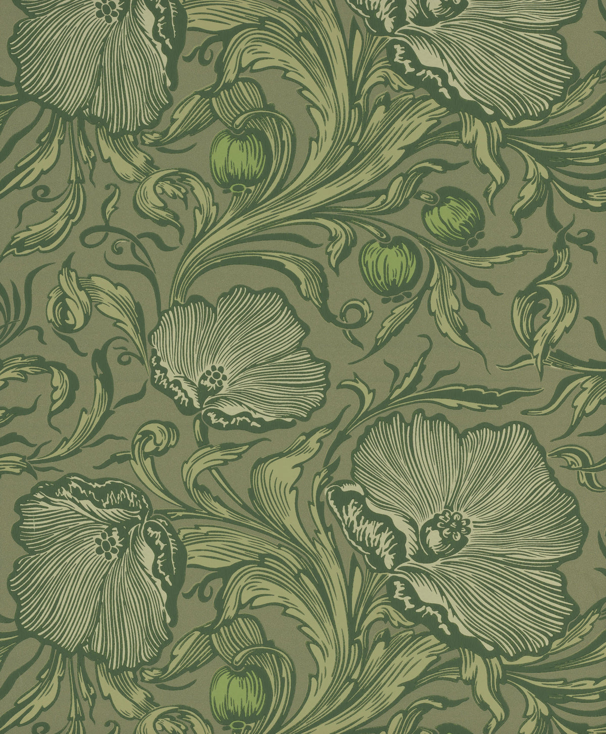 Poppy Trail - Sage Green