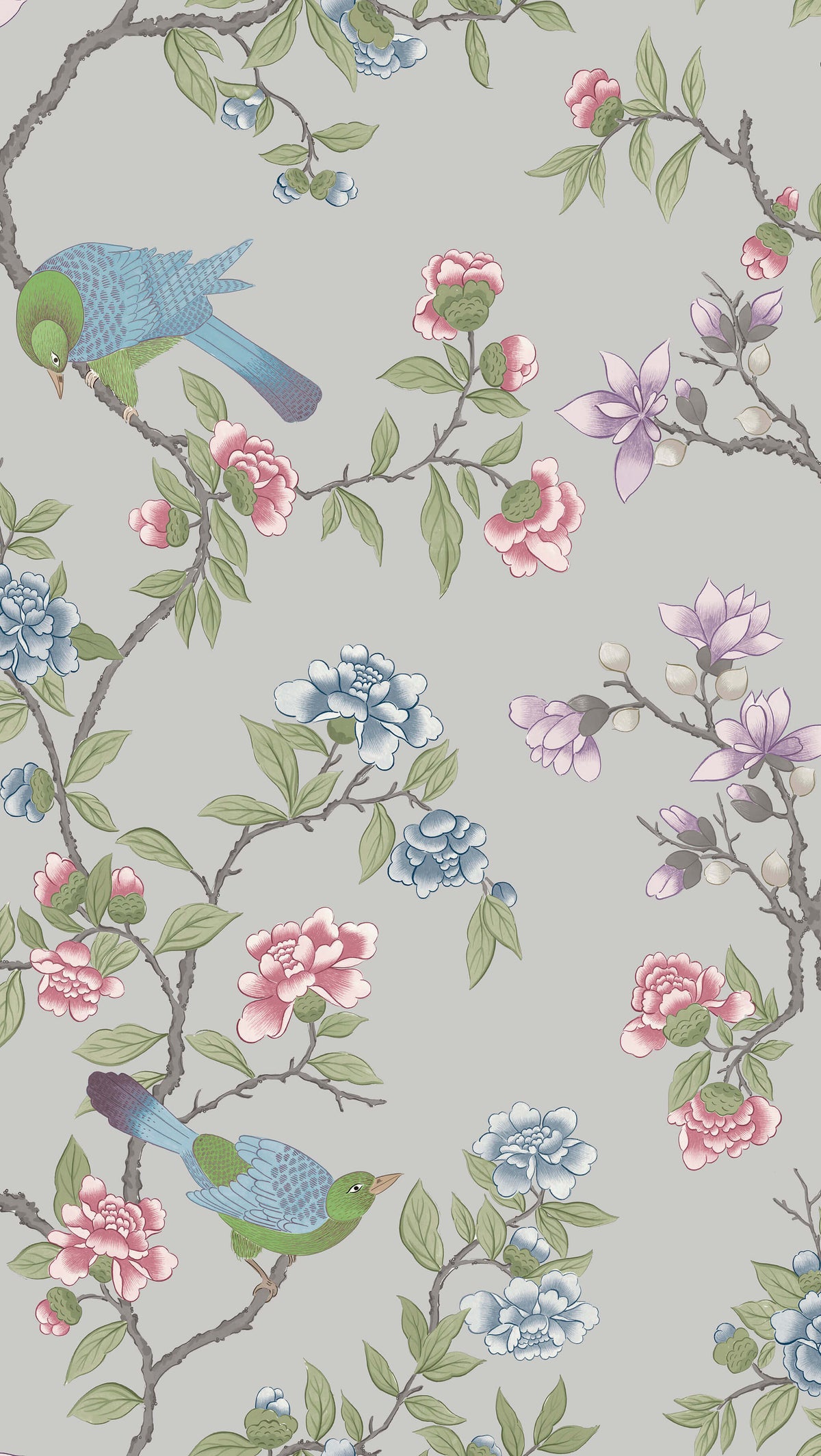 Aderyn - French Grey