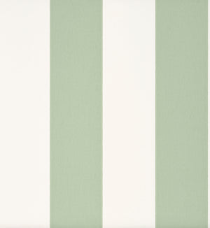 Broad Stripe - Pea Green