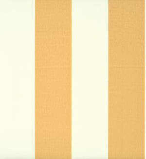 Broad Stripe - Yellow Pink