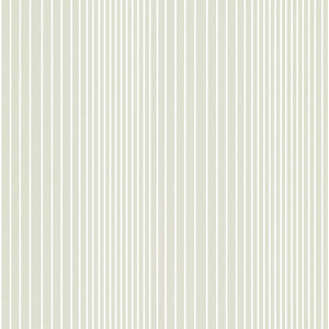 Ombré Plain - Seashell