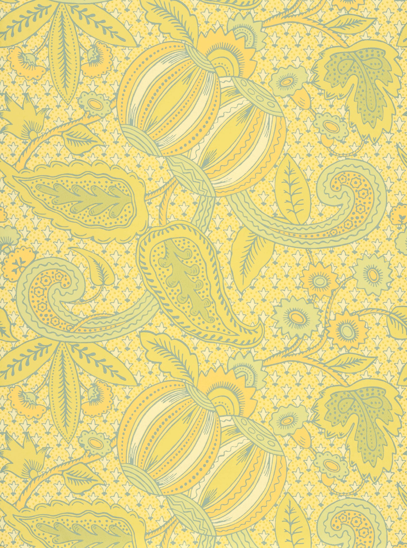 Pomegranate - Citron