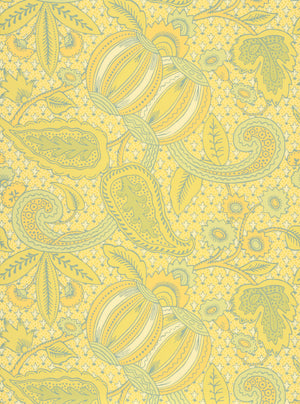 Pomegranate - Citron