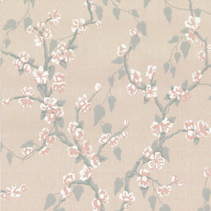 Sakura - Petal