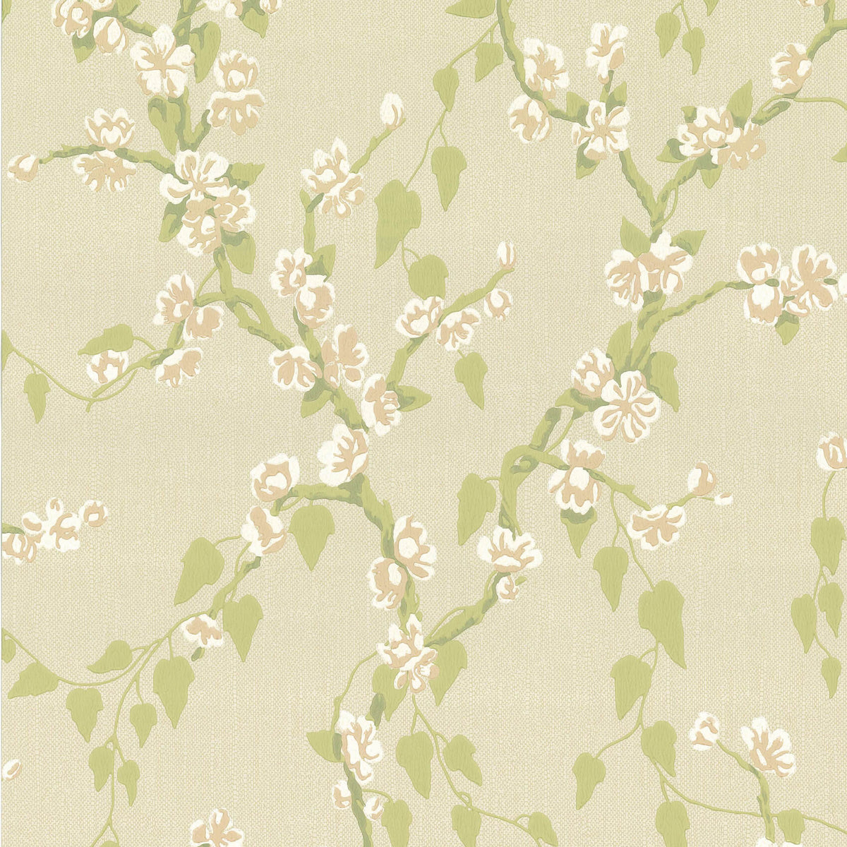 Sakura - Pomme