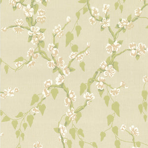 Sakura - Pomme