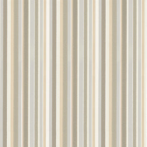 Tailor Stripe - Taupe
