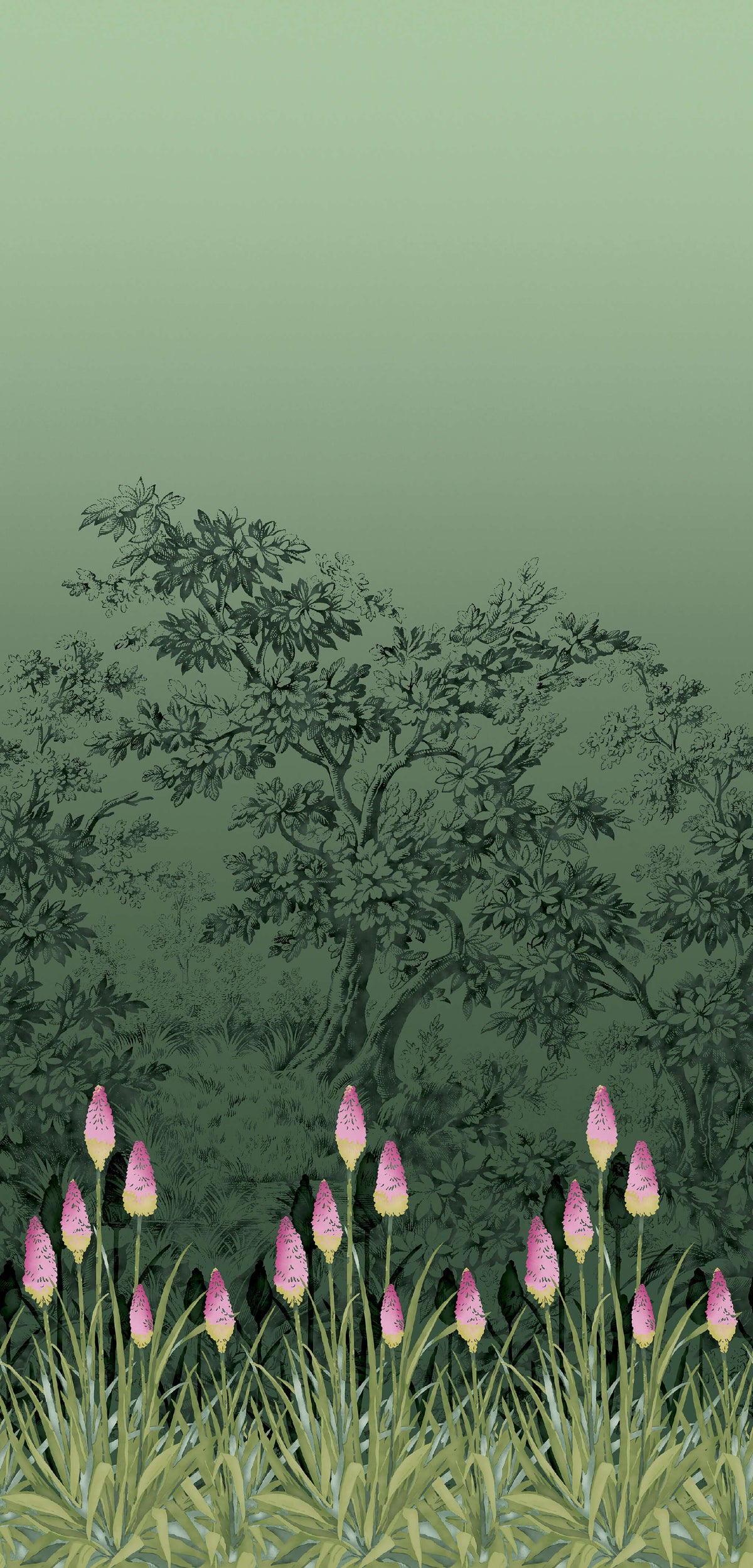 Upper Brook St. - Night Garden
